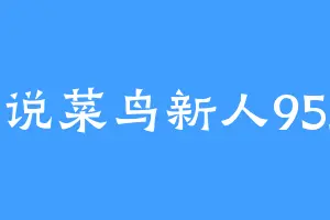 小说菜鸟新人9527