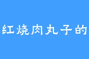爱吃红烧肉丸子的小璐