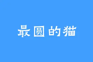 最圆的猫