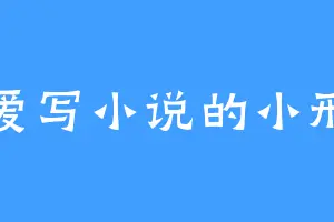 爱写小说的小邢