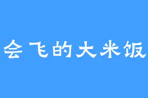 会飞的大米饭