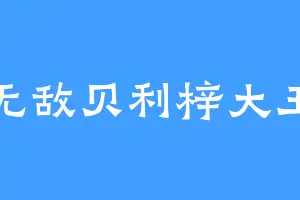 无敌贝利梓大王