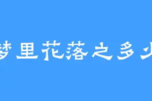 梦里花落之多少