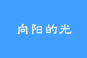 向阳的光