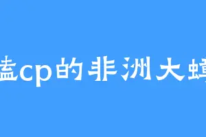 爱磕cp的非洲大蟑螂
