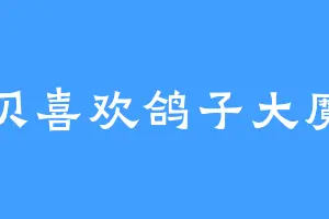 疯贝喜欢鸽子大魔头
