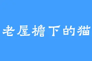 老屋檐下的猫