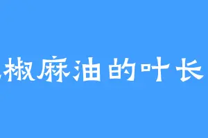 爱吃椒麻油的叶长生道