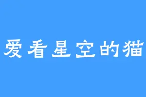 爱看星空的猫