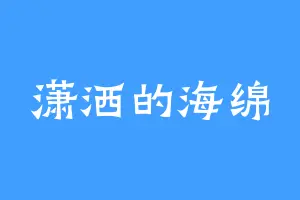 潇洒的海绵