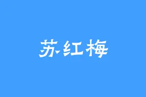 苏红梅
