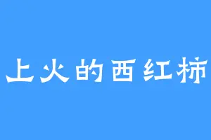 上火的西红柿