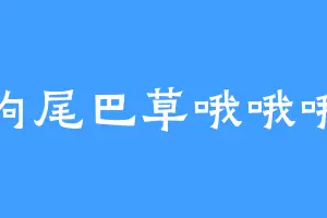 狗尾巴草哦哦哦