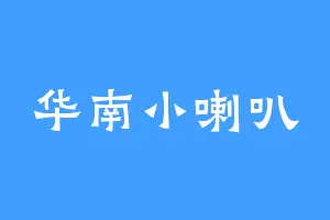 华南小喇叭