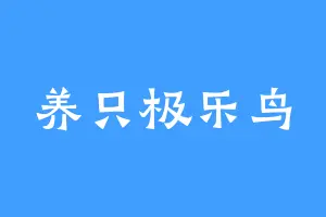 养只极乐鸟