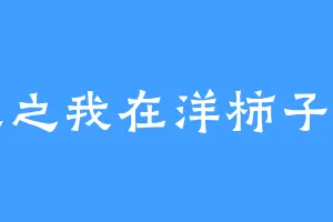 重生之我在洋柿子写书