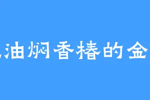 爱吃油焖香椿的金神牛
