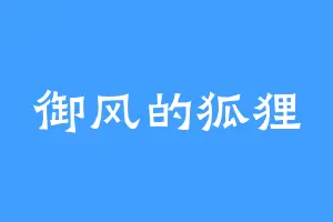 御风的狐狸