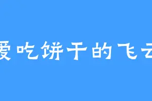 爱吃饼干的飞云