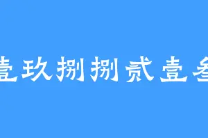 壹玖捌捌贰壹叁