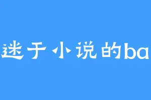 痴迷于小说的baby