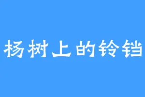 杨树上的铃铛