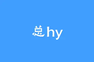 总hy
