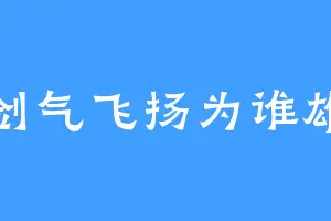 剑气飞扬为谁雄