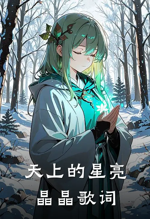 天上的星亮晶晶歌词