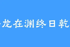 潜龙在渊终日乾乾