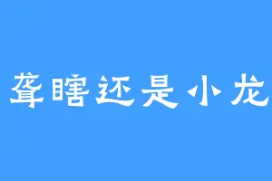 小聋瞎还是小龙虾