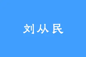 刘从民