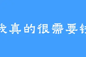 我真的很需要钱