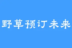 野草预订未来
