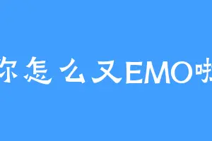 你怎么又EMO啦