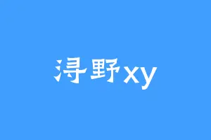 浔野xy
