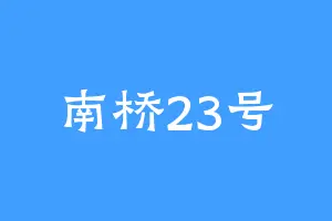 南桥23号