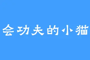 会功夫的小猫