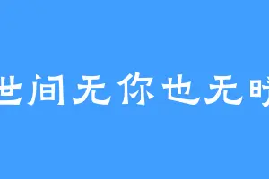 世间无你也无晴