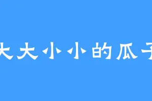 大大小小的瓜子