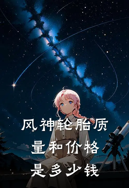 风神轮胎质量和价格是多少钱