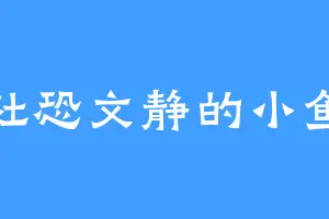 社恐文静的小鱼