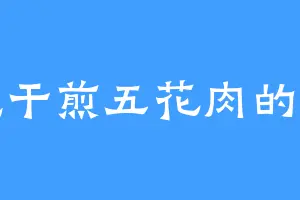 爱吃干煎五花肉的齐上