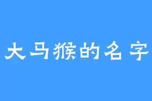 大马猴的名字