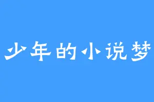 少年的小说梦