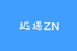 迟遇ZN