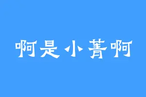 啊是小菁啊
