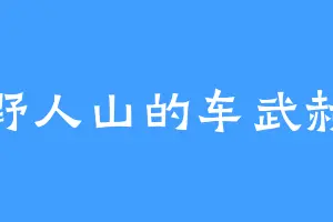 野人山的车武赫