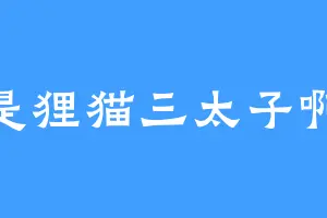 是狸猫三太子啊