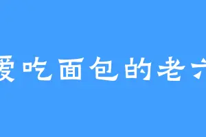 爱吃面包的老六